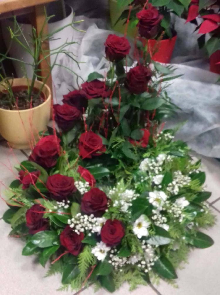 0172772029020181220_172911 (1).jpg-rosa-vita.si